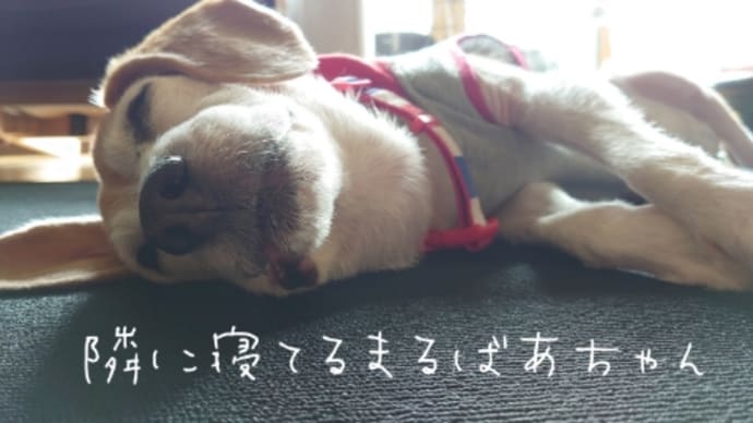 へこたれる(ノД`)シクシク