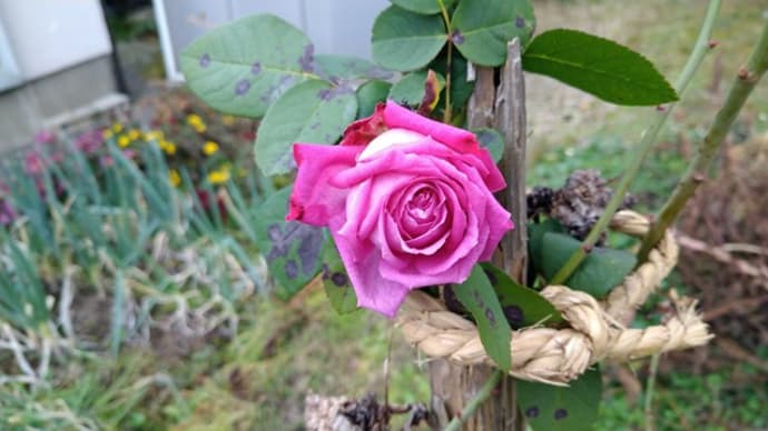 あとは、忘れていること無いかな?