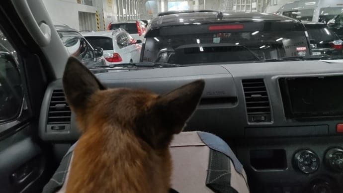 冬休み犬連れ車中泊の旅・2日目「熊本・不知火ホテル」
