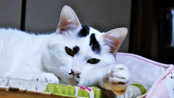 おっと