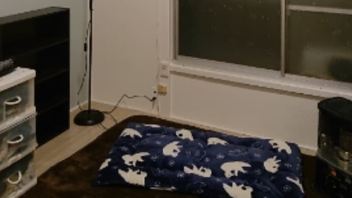 三つ目の部屋に