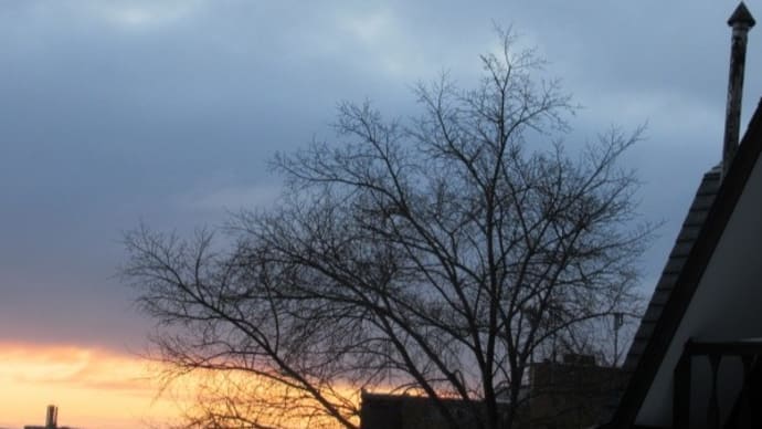 1月28日 日曜日~今朝の空