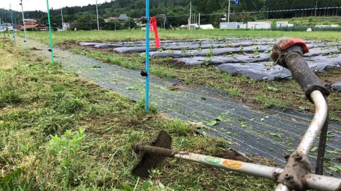 草刈りマサオ