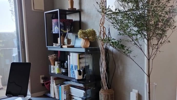 お花やさんで、珍しくドウダンツツジを見掛けました。