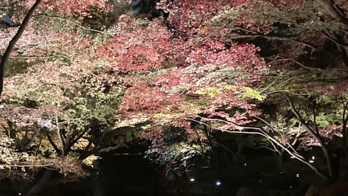 大田黒公園の紅葉
