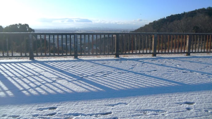 きょうの風景 ・・・ 2月19日 北雲雀きずきの森へ探鳥ウォーク