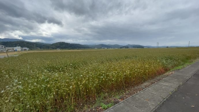 大石田の蕎麦「美登利」&「きよ」2021年10月