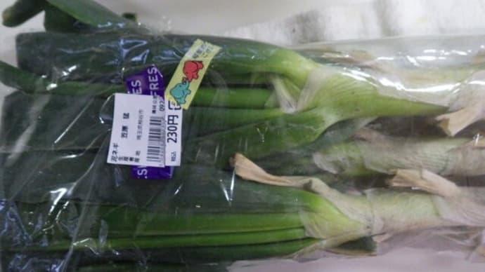 深谷ネギ de ジャージャー麵