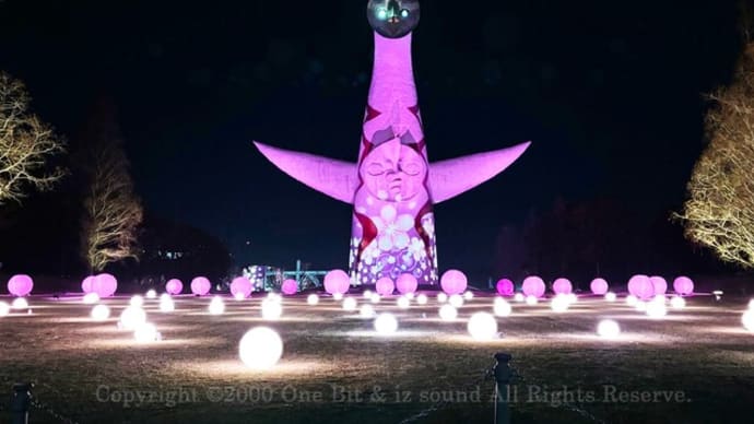 【演出事例紹介】万博記念公園 SAKURA EXPO2024 桜ライトアップ!“あくち~む ”