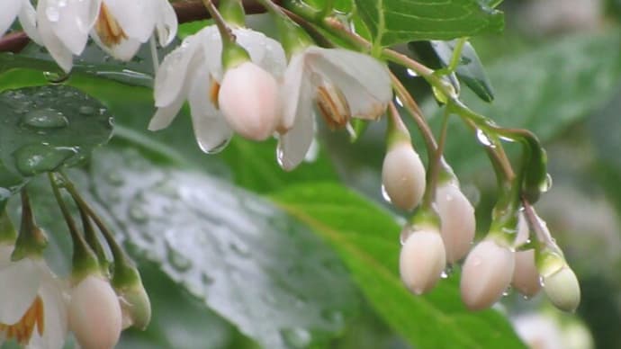 昨日~今日