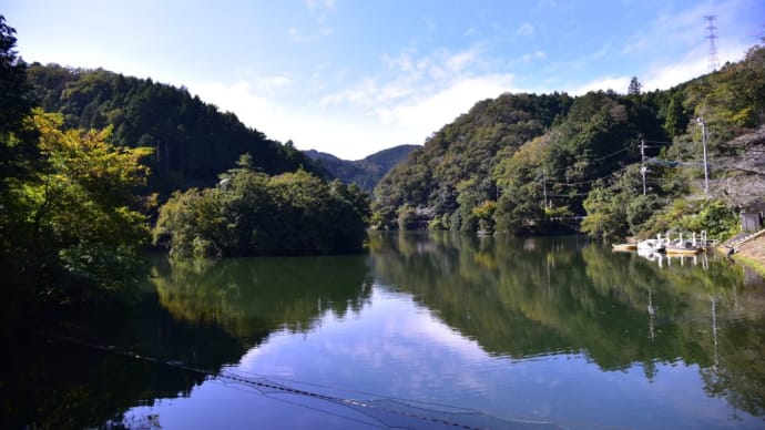 毛呂山町「秋バラ祭り&鎌北湖」