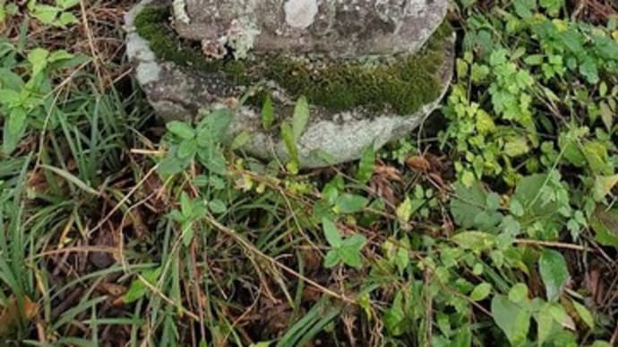 東吾妻町の元禄、青面金剛像
