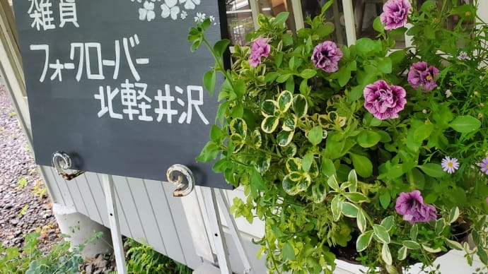 チップツリーファームのハンギング、、、