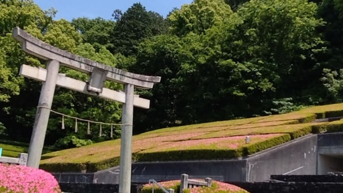 ピンク色は始まっているだろうか?