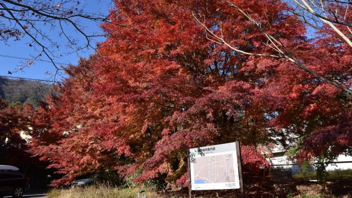 もみじ狩り 山梨県富士河口湖町 第22回富士河口湖紅葉まつり(7)久保田一竹美術館