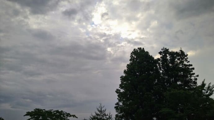 福砂屋カステラの空