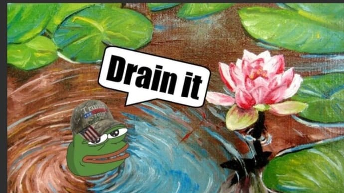 Yup, Pepe The Frog Says To Drain The Swamp.  😀😃😄😁😆😅😂🤣😈🐸🪱🐜🪰🦗🌿💩🚽🪠🤮🤢🇺🇸