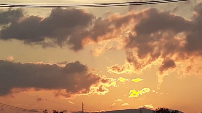 友人の投稿