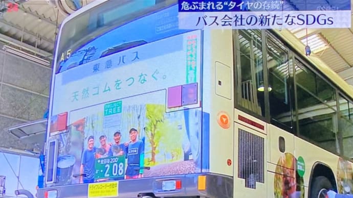危ぶまれるタイヤの存続 バス会社のSDGs