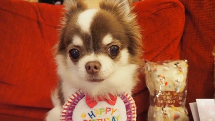 誕生日の色々♪