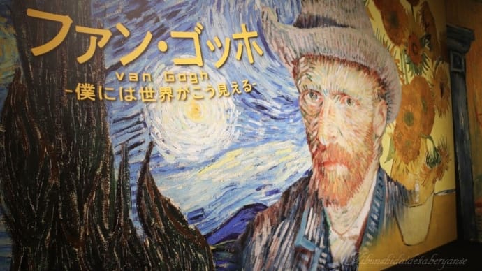 僕には世界がこう見える