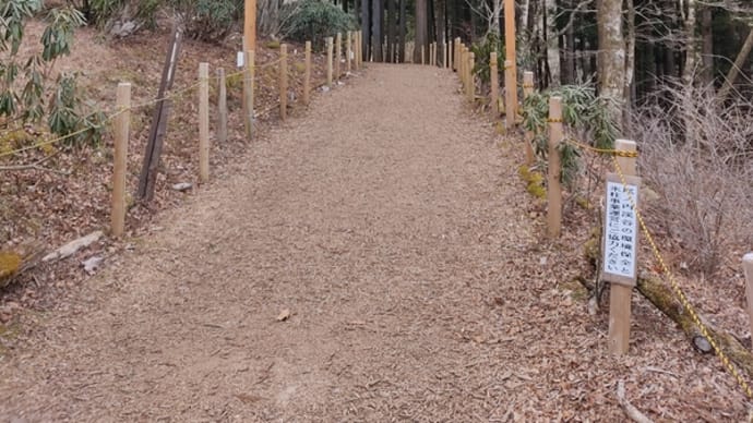 尾ノ内氷柱 (小鹿野町・尾ノ内渓谷)