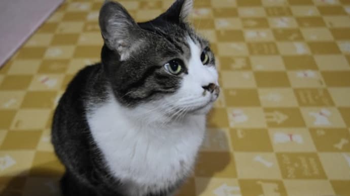 春近し