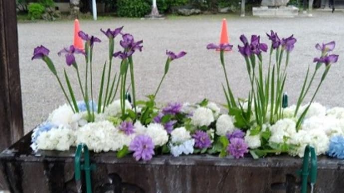箭弓稲荷神社の延命の藤