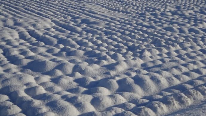 雪景色