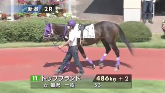 【残念】トップブランド 未勝利は終戦に