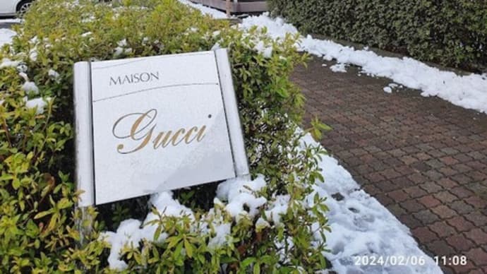 【メゾングッチ除雪】歩行者通路・駐車場出入口・周辺歩道...除雪完了