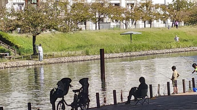 陽を浴びて 散歩確かな 手ごたえが
