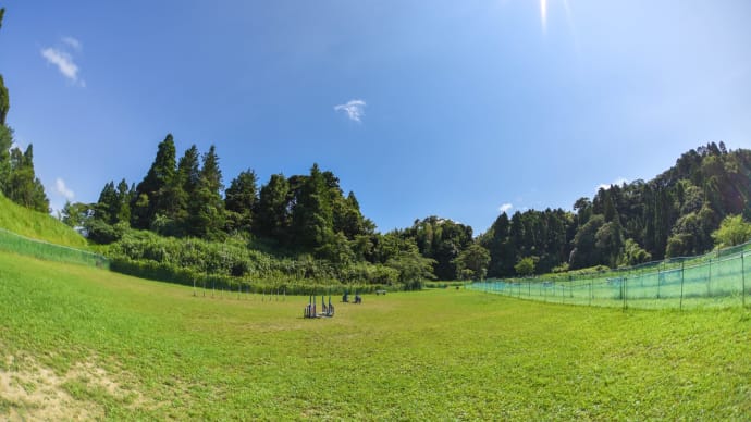 なんとも御無沙汰でございます(汗)