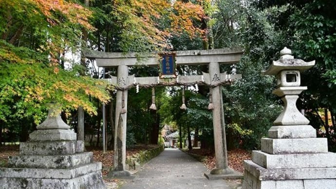京都 鷺宮神社の紅葉 '21