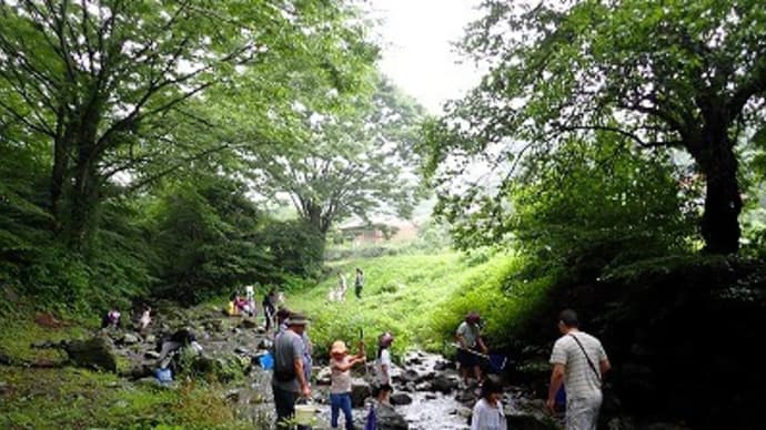 里山体験プログラム「風布川で沢遊び」