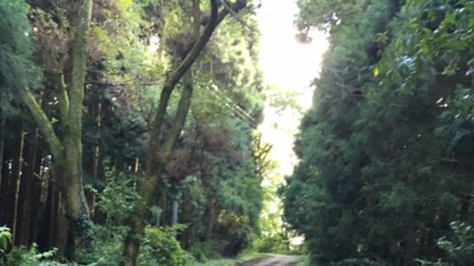 地元の良さを再認識したプチ山岳ライド!(Ⅲ)