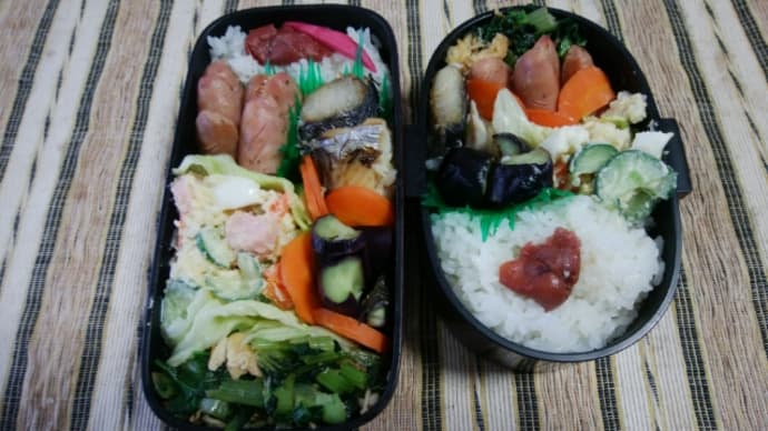 今日の弁当