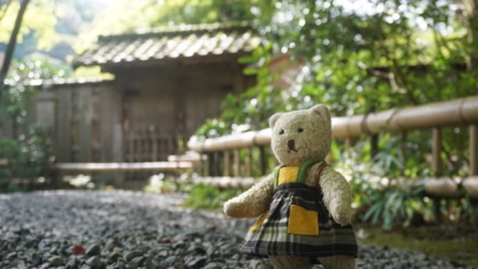 紅葉まではもう少し…栂尾「高山寺」で開催された「茶話会」へ。