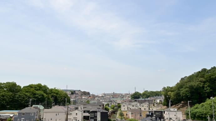 05月27日 お留守番をしていました。