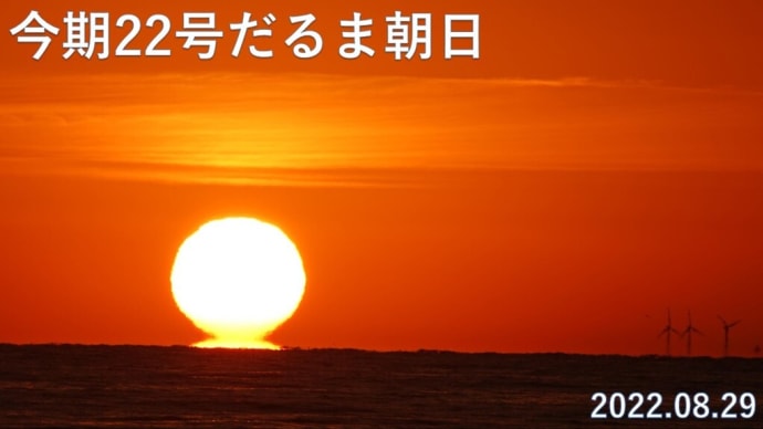 達磨太陽（朝陽）　2022年だるま朝日22号　動画あり　8月29日