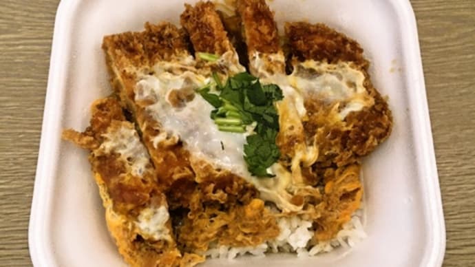 120gのカツ丼！