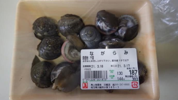 ひとり居酒屋…ながらみ