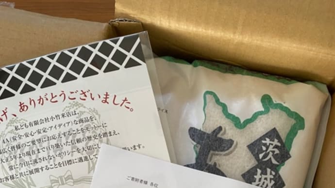 一年越しの