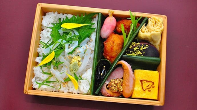 こんにゃくDEイカ風ちらし寿司弁当♪