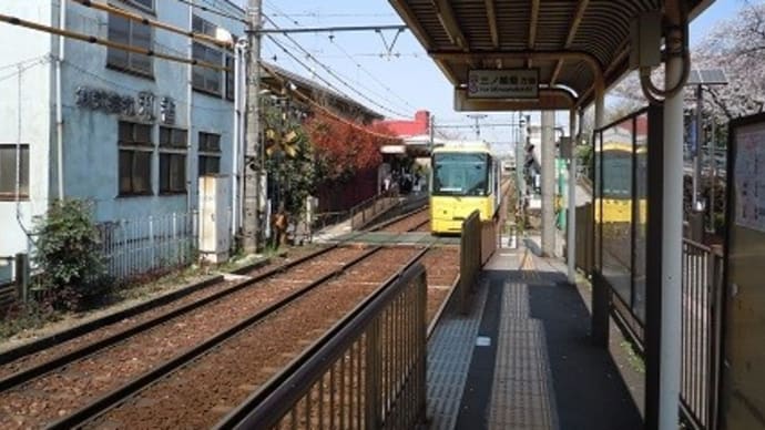 2020年3月 荒川自然公園