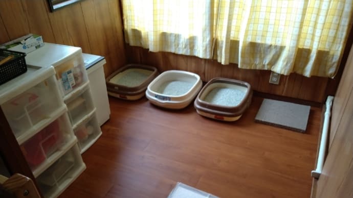 お片付け その後