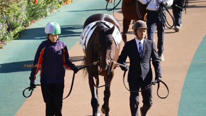 がんばれ!初勝利5