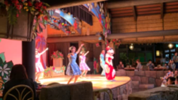 台風の東京ディズニーリゾートに行ってきました。【14日インパ編】