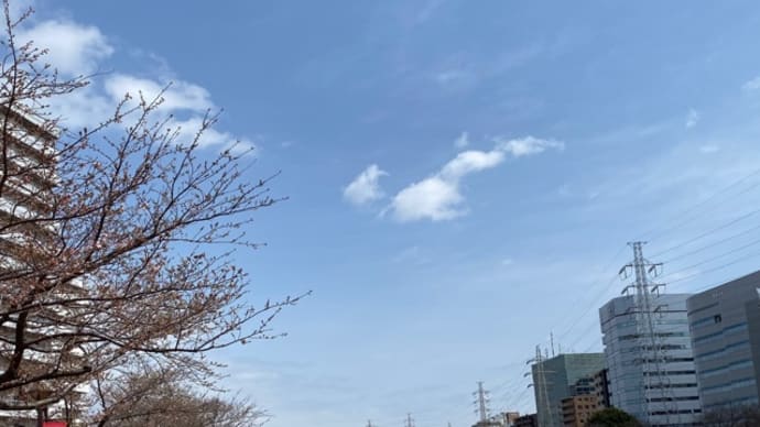 今日も快晴