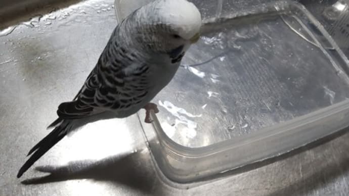 (^^)水遊び